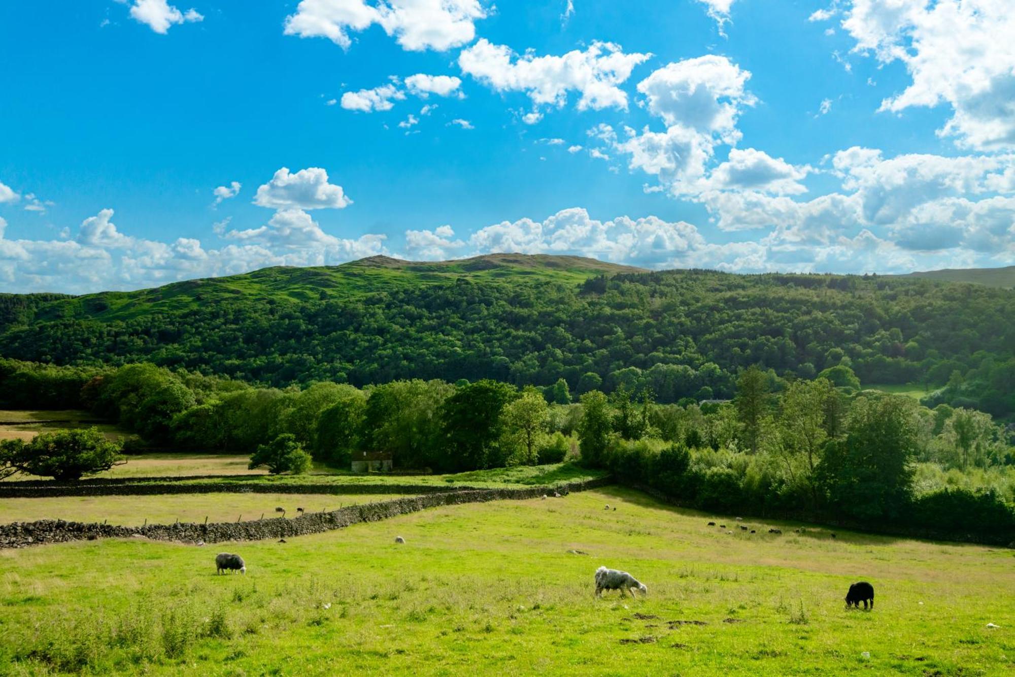 Bridge End Farm Cottages Boot Esterno foto